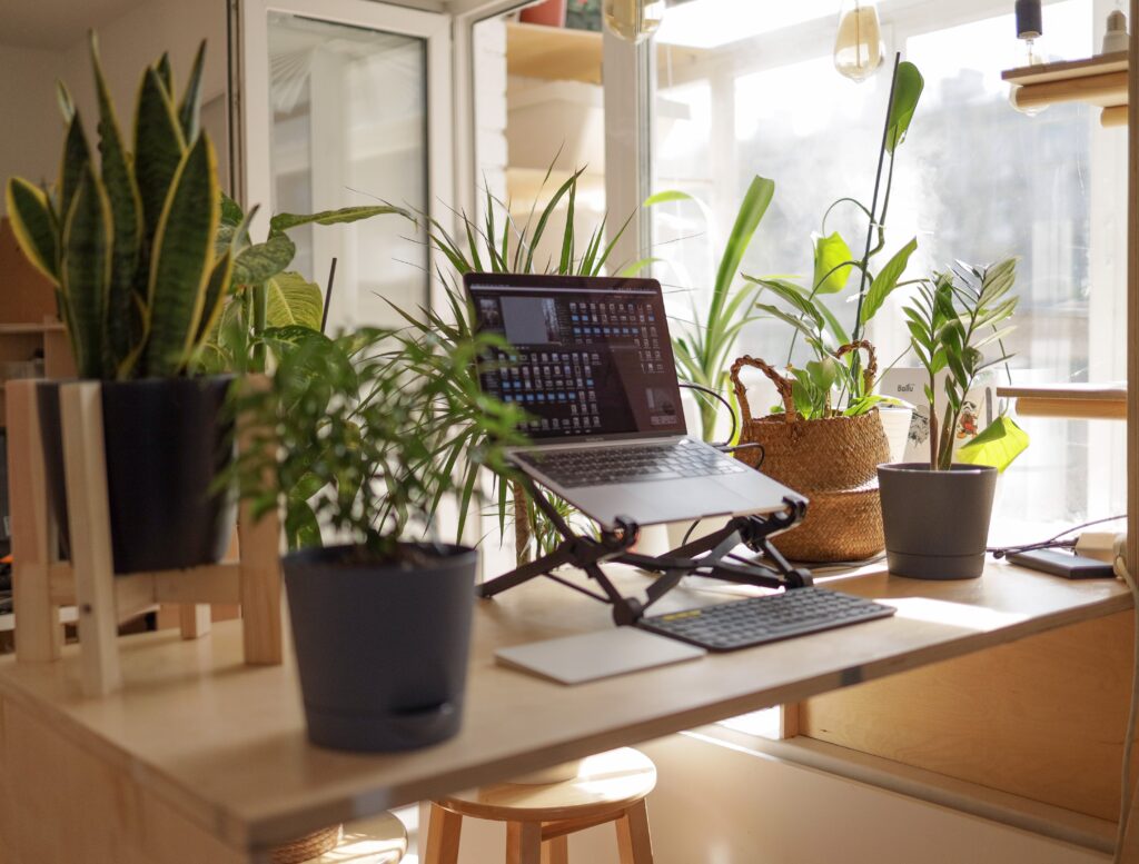 some types of work from home equipment